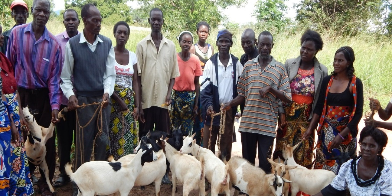 Sambialaisia vuohien kanssa